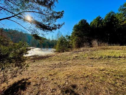 Działka leśna nad Pilicą-Ostrów gm. Aleksandrów