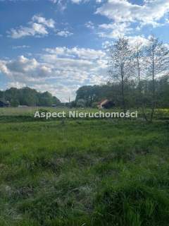 Działka w Pielgrzymowicach