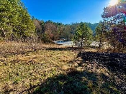 Działka leśna nad Pilicą-Ostrów gm. Aleksandrów