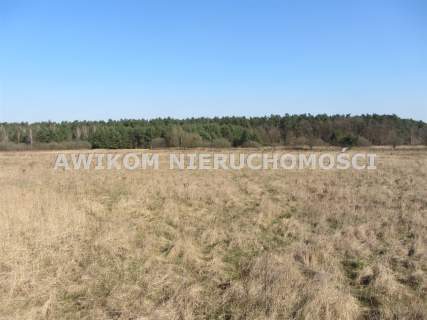 Działka rolna na sprzedaż, 261600 m2, Wólka Łasiecka