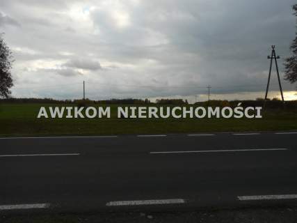 Działka rolna na sprzedaż, 58340 m2, Lisowola