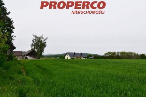 Działka, pow. 33100 m2, Jeleniów, Nowa Słupia