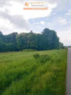 działka 47 ara z wz - Grodzisko Dolne