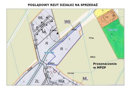 Rola w Puszczy Noteckiej.