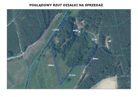 Zainwestuj na obszarze Natura 2000 Puszcza Notecka