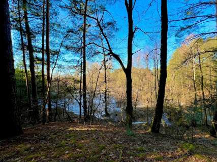 Działka leśna nad Pilicą-Ostrów gm. Aleksandrów