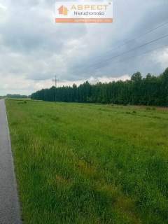 działka 47 ara z wz - Grodzisko Dolne
