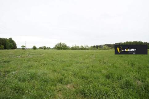 Działka rolna na sprzedaż, 16400 m2, Regiel