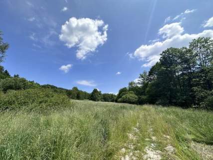 Działka, Kasina Wielka 3400 m2 - Rolna Siedliskowa