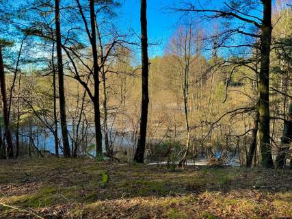Działka leśna nad Pilicą-Ostrów gm. Aleksandrów