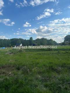 Działka w Pielgrzymowicach