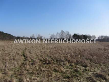 Działka rolna na sprzedaż, 261600 m2, Wólka Łasiecka