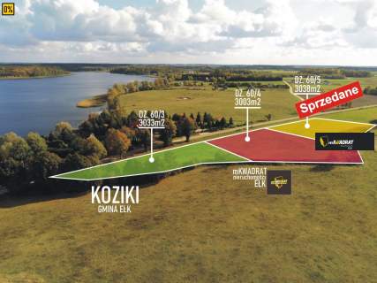 Działka na sprzedaż, 3038 m2, Koziki