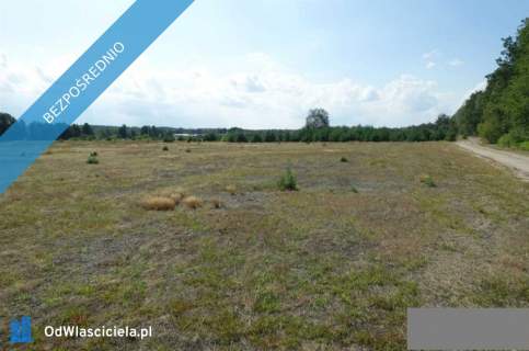 Działka budowlana 2,34 ha , wieś Ładne Włocławek , 38zł/m2