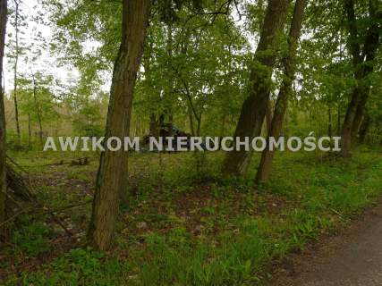 Działka leśna na sprzedaż, 3167 m2, Joachimów-Mogiły
