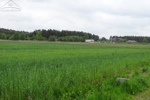 Działka w cichej okolicy gm. Ceków-Kolonia