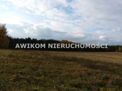 Działka rolna na sprzedaż, 162570 m2, Wycześniak