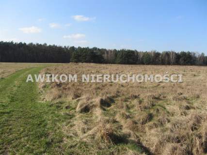 Działka rolna na sprzedaż, 261600 m2, Wólka Łasiecka