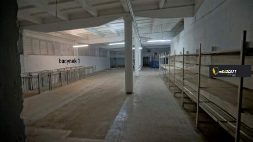 Magazyn do wynajęcia, 2999,8 m2, Ełk