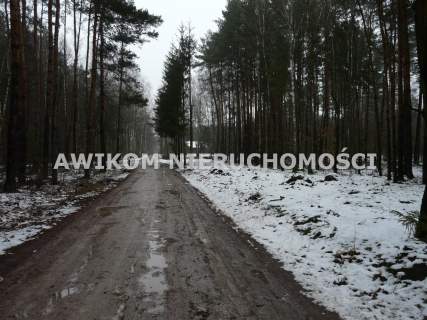 Działka leśna na sprzedaż, 9813 m2, Borowiny