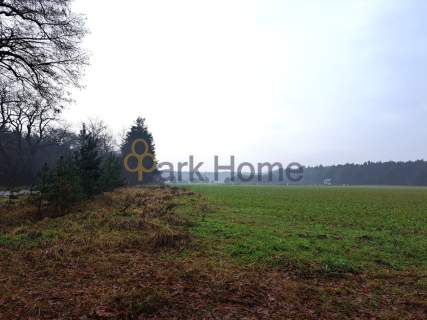 Jaszkowo- działka 1291 m2- Warunki zabudowy