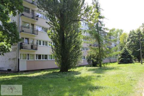Mieszkanie na sprzedaż, 44,7 m2, Łódź