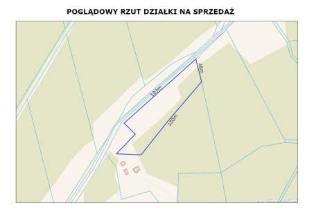 Rola w Puszczy Noteckiej.
