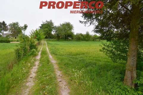 Działka, pow. 33100 m2, Jeleniów, Nowa Słupia