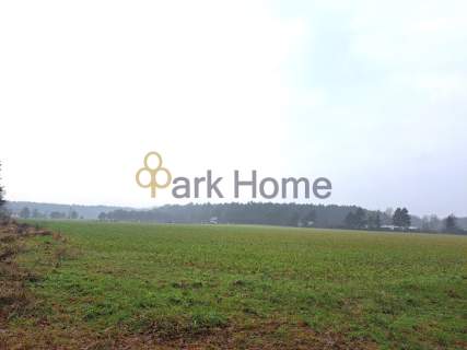 Jaszkowo- działka 1291 m2- Warunki zabudowy