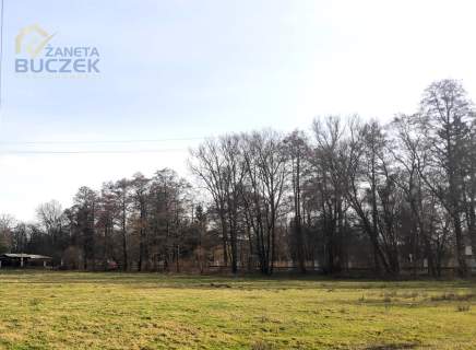 Sprzedam działkę budowlano-usługową w Nieborowie