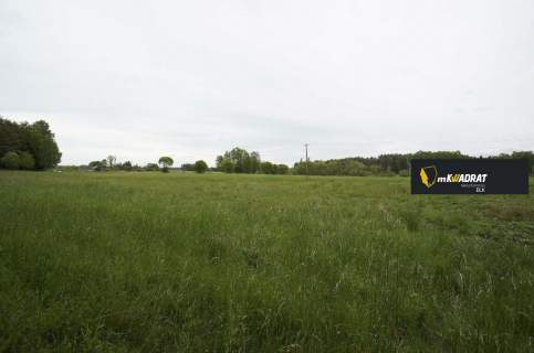 Działka rolna na sprzedaż, 16400 m2, Regiel
