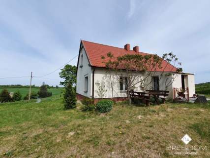 Siedlisko/gospodarstwo na Wzgórzach Dylewskich - 9 ha