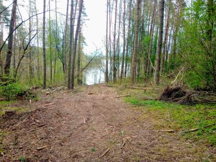 Mazury Stare Juchy działki 3000m2 w okolicach jeziora Garbas