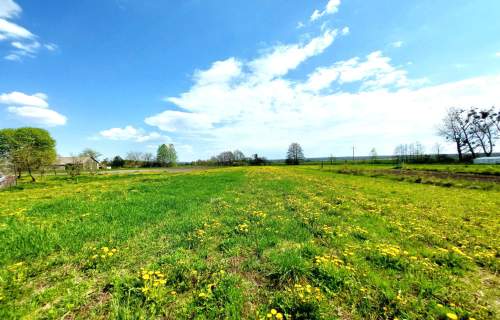 Działka 8 km od Zamościa, Wychody. Na Roztoczu