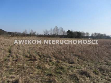 Działka rolna na sprzedaż, 261600 m2, Wólka Łasiecka