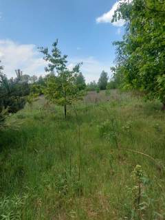 Działka budowlana na sprzedaż, 2293 m2, Sosnowiec