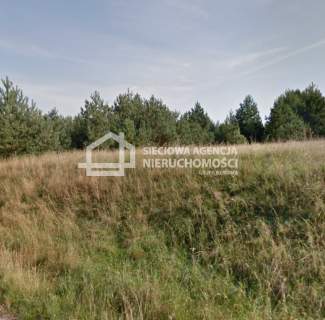 Atrakcyjna działka rolna 8700 m2, Niedamowo