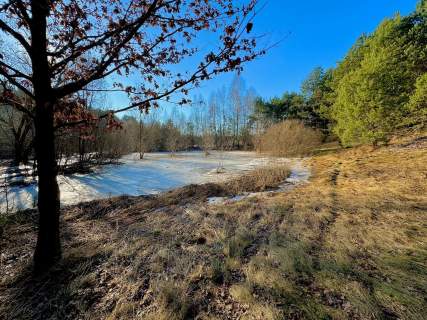 Działka leśna nad Pilicą-Ostrów gm. Aleksandrów