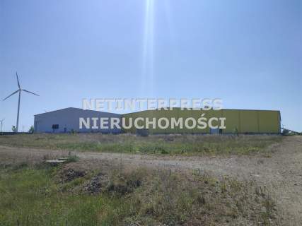 Nieruchomość komercyjna na sprzedaż, 10000 m2, Broniewice