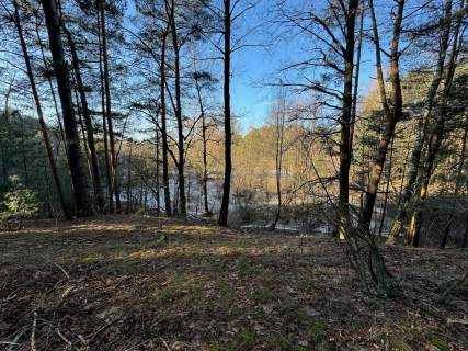 Działka leśna nad Pilicą-Ostrów gm. Aleksandrów