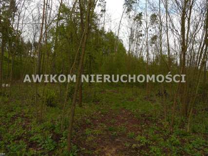 Działka leśna na sprzedaż, 3179 m2, Joachimów-Mogiły