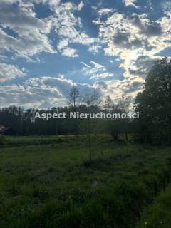 Działka w Pielgrzymowicach