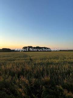 Działka rolna w Pruchnej