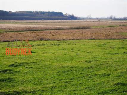 Działka rolna - Krupy