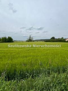 Działka budowlana na sprzedaż, 3800 m2, Ziębice
