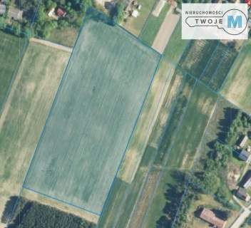 2,5 ha działki rolnej w okazjonalnej cenie