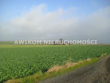 20 km od Skierniewic dla lubiiących przestrzeń