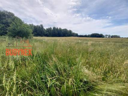 Działka budowlana - Boryszewo