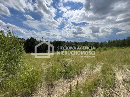 Piękna działka przy lesie Pępowo 5000m2