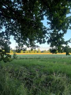 Cicha działa w Ochabach/Skoczów